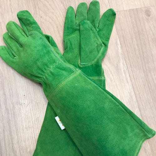 Rosenhandske "Rosie Green" - Blomsterverden